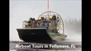 Vero Beach Airboat Rides Marsh Beast Airboat Tours [upl. by Dustman]