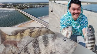 Fishing Matanzas Inlet With ZephyrFishing amp SLC OUTDOORS Sheepshead Bluefish Ladyfish [upl. by Aihsyn]