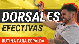 5 Mejores Ejercicios De Dorsales  Rutina De Entrenamiento [upl. by Schaumberger95]