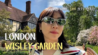 런던에서 기차타고 30분 30만평 위즐리가든 London Vlog WISLEY GARDEN [upl. by Raines]