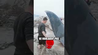 Ces hommes chinois ont sauvé cette baleine [upl. by Necila]