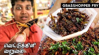 Eating INSECTS for the First Time LOCUSTS Grasshopper fry in Thailand [upl. by Verlee]