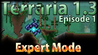 Terraria 13 Expert Mode  Episode 1  Daah Mer Gahwd [upl. by Vashti]