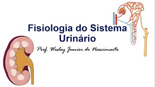 💧 Detona no Sistema Urinário Filtrando o Essencial 💡🔬 [upl. by Elleirad358]