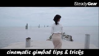 TIPS amp TRICK OF CINEMATIC GIMBALHohem iSteady Gear [upl. by Pack282]