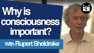 Why is Consciousness Important  Rupert Sheldrake [upl. by Beryle]