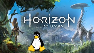 Horizon Zero Dawn  Linux  Gameplay [upl. by Hurty]