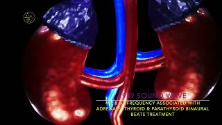 4928 HZ FREQUENCY ASSOCIATED WITH ADRENALS THYROID amp PARATHYROID BINAURAL BEATS TREATMENT [upl. by Mauve270]