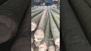 战略合作好伙伴，碧辉南竹代工厂欢迎您 竹子代工 竹子加工 竹制品 [upl. by Chiles717]