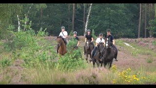 Reiter und Ferienhof Cohrs BispingenVolkwardingen [upl. by Siward]