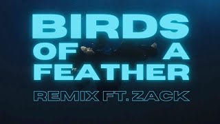 BIRDS OF A FEATHER remix ft ZACK [upl. by Lehacim]