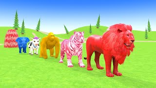 Long Slide Game With Elephant Gorilla Buffalo Hippopotamus Tiger  3d Animal Game  Funny 3d Animals [upl. by Helmer]