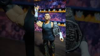 Matt Hardy Ringside Exclusive wwe jcardonastore mattel ringsidecollectibles [upl. by Ayama]