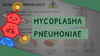 Mycoplasma Pneumoniae [upl. by Ellerol]