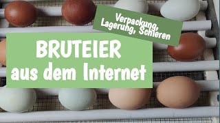 Bruteier im Internet bestellt  Wir brüten wieder [upl. by Atsahs461]