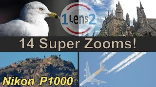 Variety of Nikon COOLPIX P1000 Zoom Tests EP 1 [upl. by Oilcareh]