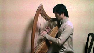 Classical Music WA Mozart Minuet in D Major kv 7 on harp 모차르트 미뉴엣 하프연주 Hunggon Kim [upl. by Ygiaf]