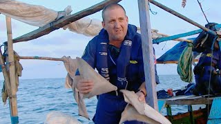 Shark Fin Poachers Busted  Border Security Australias Front Line [upl. by Stanwood728]