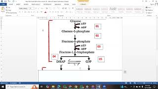 Glycolysis  Cellular Respiration  EMP Pathway  KIPS [upl. by Mcconnell]