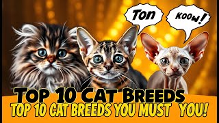 Top 10 Cat Breeds You Must Know [upl. by Kerrin517]