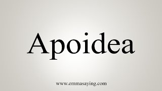 How To Say Apoidea [upl. by Spillar]