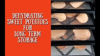 Dehydrating Sweet Potatoes for Long Term Storage  Homestead Corner [upl. by Beach]