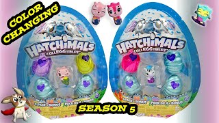 Hatchimals Colleggtibles SEASON 5  Mermal Magic Limited Edition  Color Changing  Puppy Power Toys [upl. by Janenna]