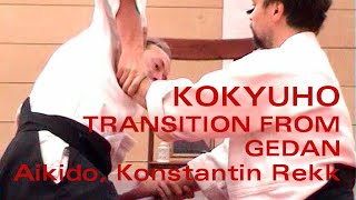 Aikido Suwari Waza Kokyuho  Transition from Gedan to Chudan Unbendable Arm [upl. by Malda]