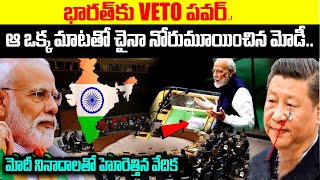 ఆ ఒక్క మాటతో చైనా నోరుమూయించిన మోడీ  UNSC  VETO  India  China  MODI  BS FACTS [upl. by Supmart85]