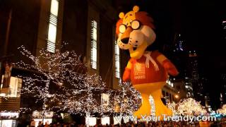 Magnificent Mile Lights Festival Parade Chicago 2010 HD [upl. by Alyahs]