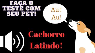 Cachorros latindo top 7 sons  Teste com o seu pet [upl. by Arim]