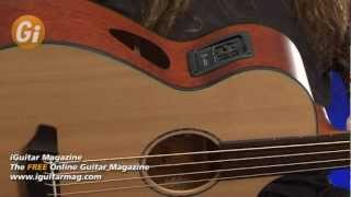 Breedlove Solo Fretless Acoustic Bass BJ350 CM4 Guitar Review With Dan Veall  iGuitar Magazine [upl. by Aihsile]