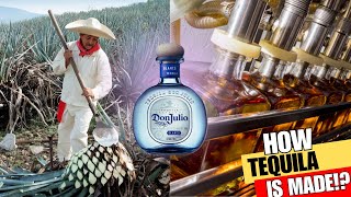 How TEQUILA is Made From Agave Plant  DON JULIO Tequila Production [upl. by Leachim]