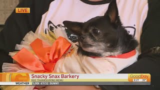 Snacky Snax Barkery [upl. by Ute]