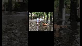 MAJOR FLOODING IN SAVANNAH GA FROM DEBBY [upl. by Nyllewell]