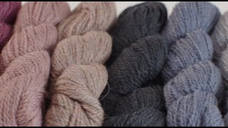 Blue Sky Fibers Woolstok Worsted Yarn [upl. by Eilloh]