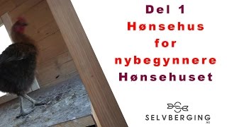 Hønsehus for nybegynnere [upl. by Kaela]