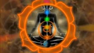 Chakras e Kundalini  versão DUBLADA MEDA Academy [upl. by Iru]