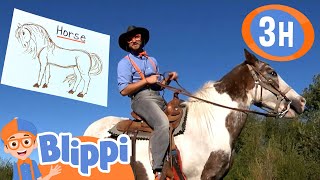 Blippi Learn About Horses  Blippi  Learning for Kids [upl. by Aicilram989]