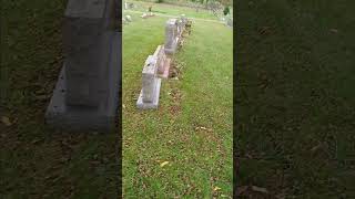 Do grave yard ghosts really exist We shall find out using scientific means [upl. by Florenza]