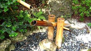 Japanese Bamboo Water Fountain  Morikami Museum amp Japanese Gardens Delray Beach FL [upl. by Yemane104]