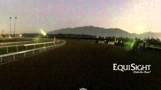 Breeders Cup 2013  quotEver Riderquot  Gallop  JockeyCam presented by EquiSightcom [upl. by Bonnibelle630]