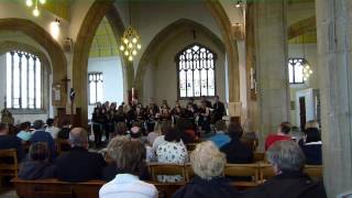 Flying Free by Don Besig  Southampton University Singers  Summer Concert 2013 [upl. by Ibob]