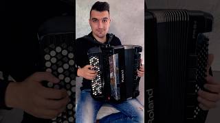 The Art Company  Susanna accordion akordeon music accordionmusic cover accordeon rolandfr8x [upl. by Dawna]