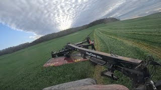 Mowing triticale [upl. by Horne]