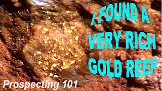 Gold Prospecting In Western Australia For Nuggets Using A Metal Detecting Dig Your Rich Gold Reef [upl. by Suirauqram]