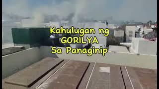 KAHULUGAN NG GORILYA SA PANAGINIP [upl. by Hecker399]