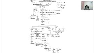 PATOFISIOLOGI PNEUMONIA COVID19 [upl. by Ochs937]