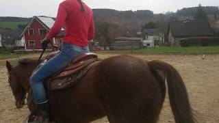 Trailtraining Larissa übt mit Queenie Galoppstangen  Pferd Westernreiten reiten [upl. by Emmett]