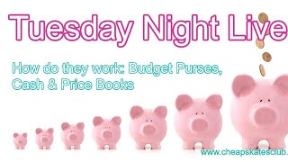 How do they work Budget Purses Cash amp Price Books [upl. by Ventre]